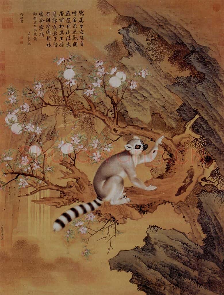 清 朗世宁《交趾果然图》书画作品