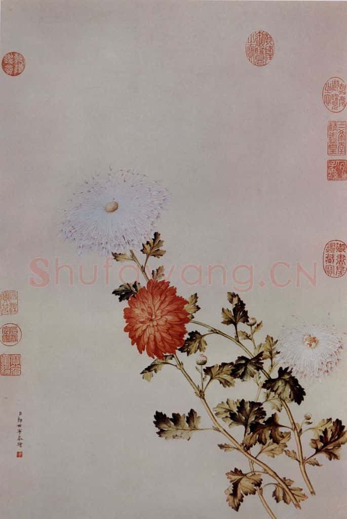 清 朗世宁《洋菊图》书画作品