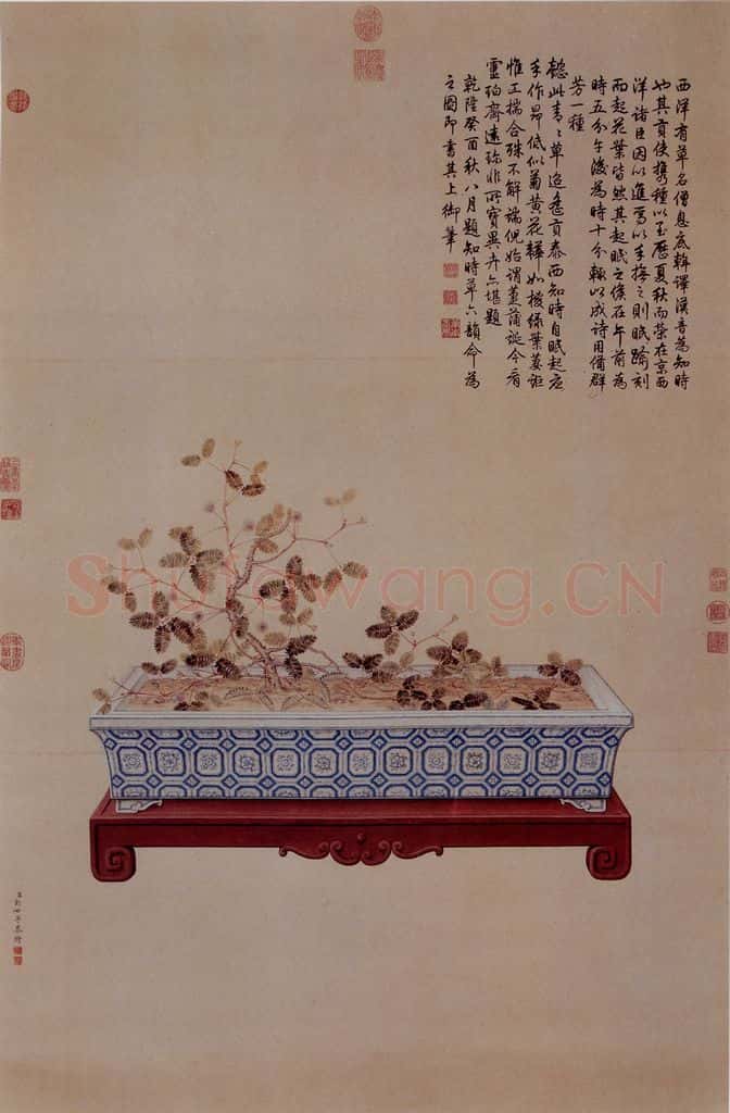 清 朗世宁《海西知时草图》书画作品
