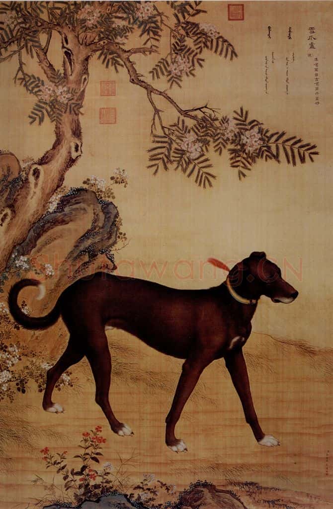 清 朗世宁《十骏犬——雪爪卢》书画作品
