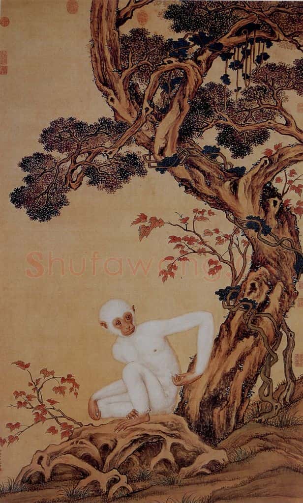 清 朗世宁《白猿图》书画作品