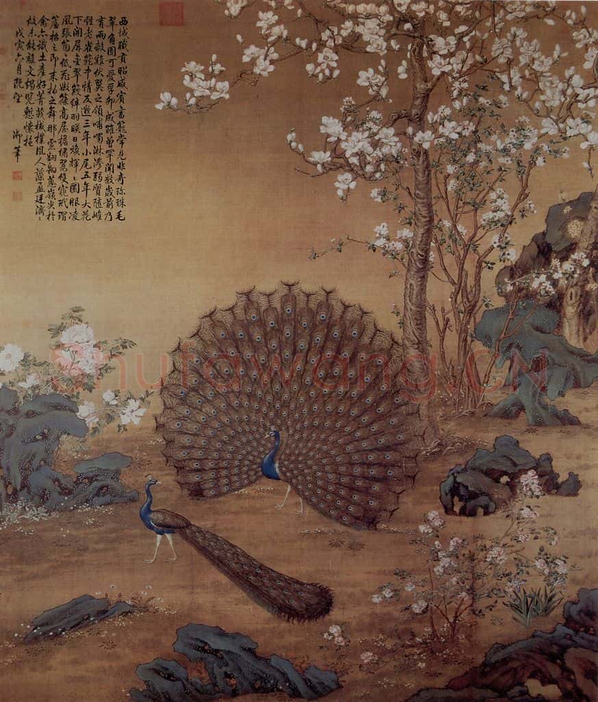清 朗世宁《孔雀开屏图》书画作品