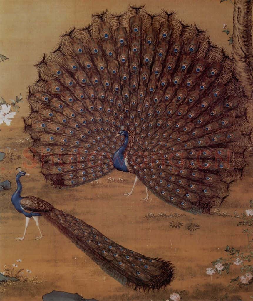 清 朗世宁《孔雀开屏图》书画作品