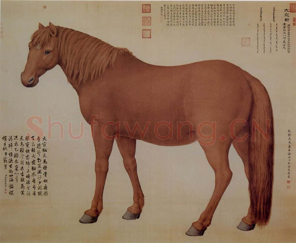 清 朗世宁《十骏图——大宛骝》书画作品