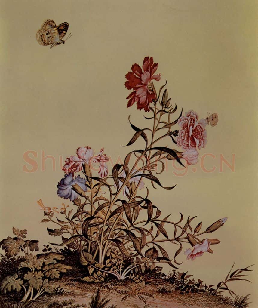 清 朗世宁《仙萼长春图——石竹》书画作品