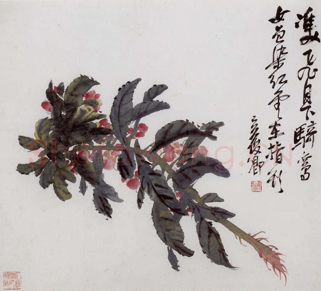 清 吴昌硕《花卉册》书画作品