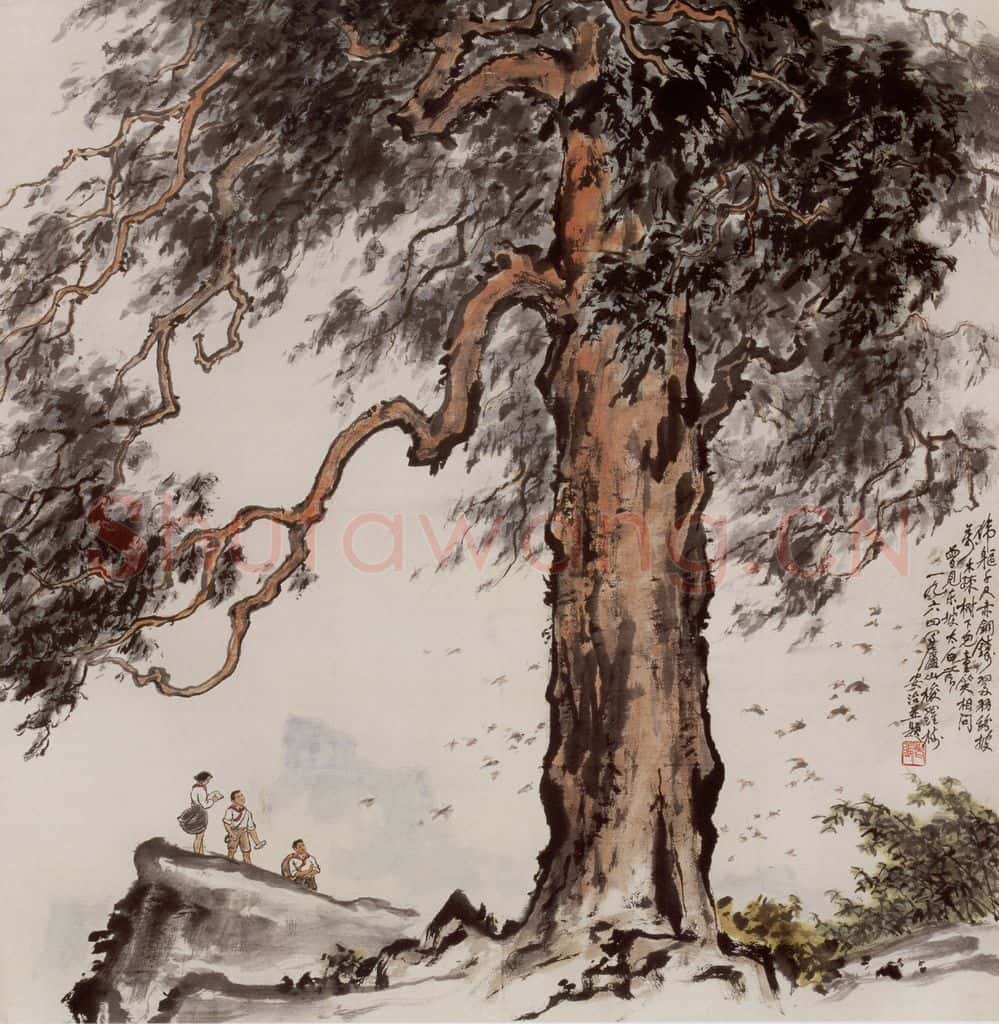 1964年 张安治 庐山梭罗树 书画作品