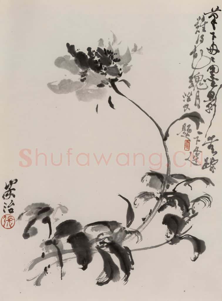 1979年 张安治 墨芍药 书画作品