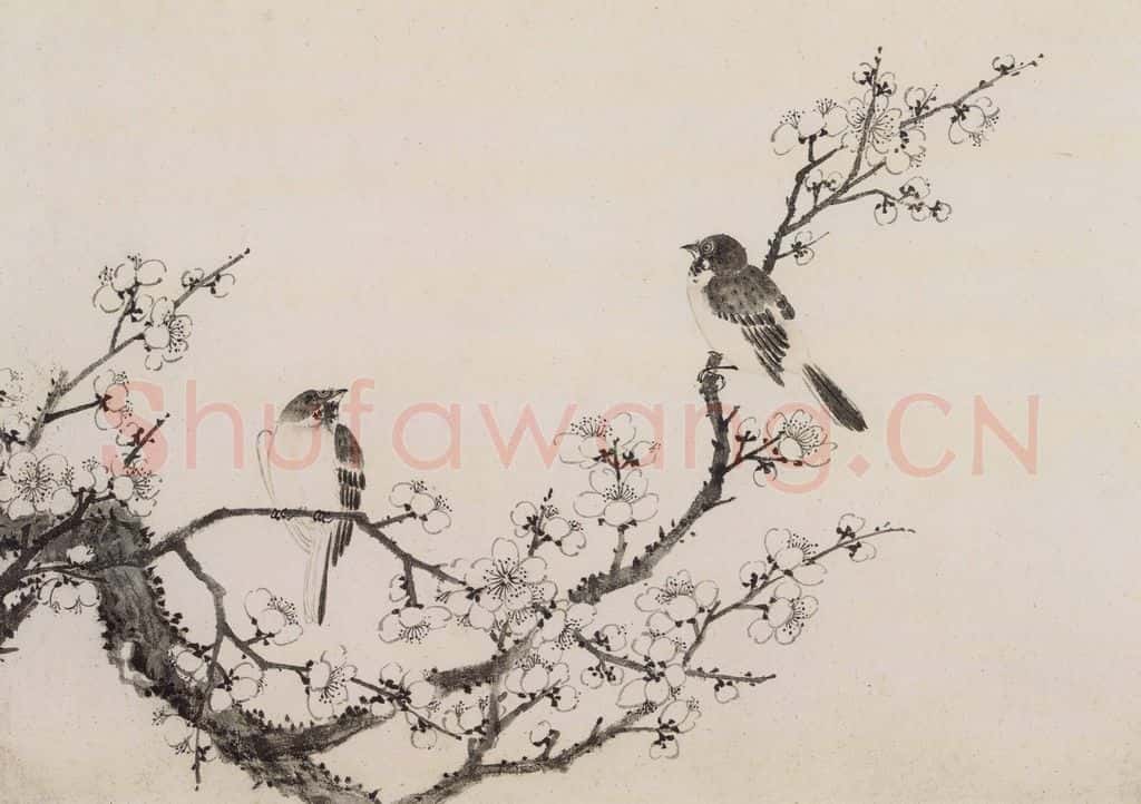 清 蒋廷锡《蒋廷锡花鸟图册》书画作品