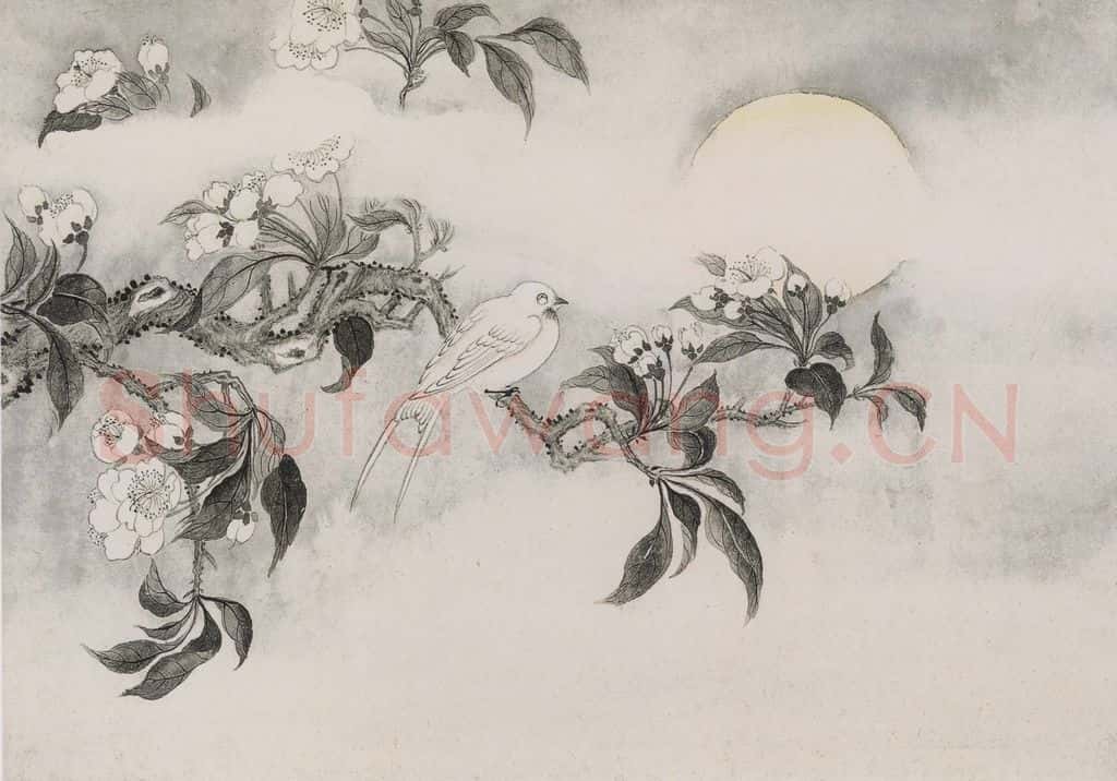 清 蒋廷锡《蒋廷锡花鸟图册》书画作品