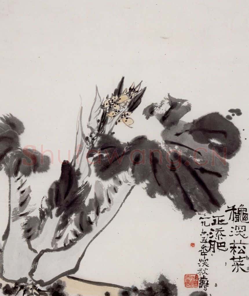1965年 潘天寿《菘菜图轴》书画作品