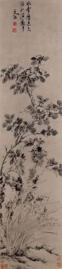 明 陈淳 山茶水仙图轴 书画作品