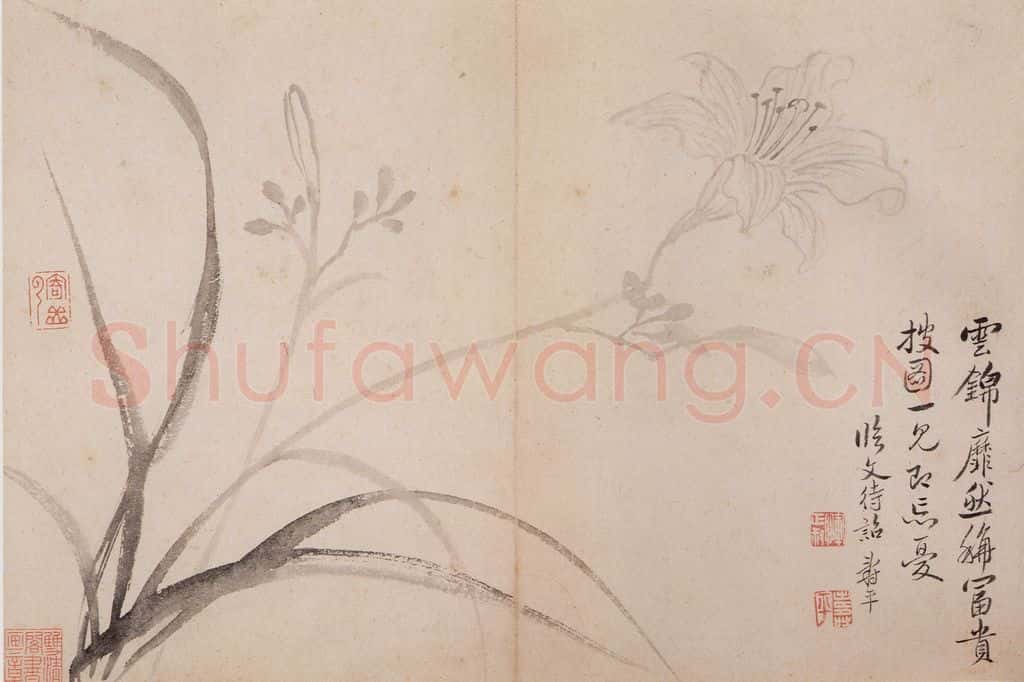 清 恽寿平《写生墨妙》书画作品