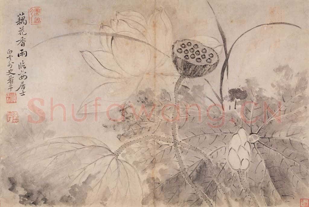 清 恽寿平《写生墨妙》书画作品