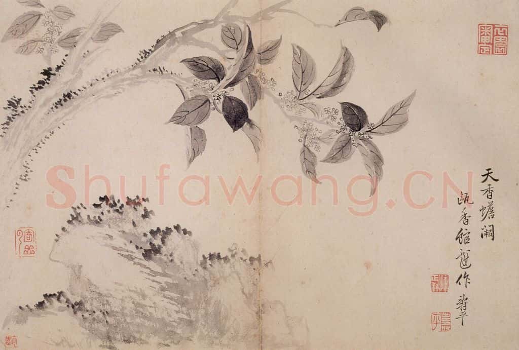 清 恽寿平《写生墨妙》书画作品