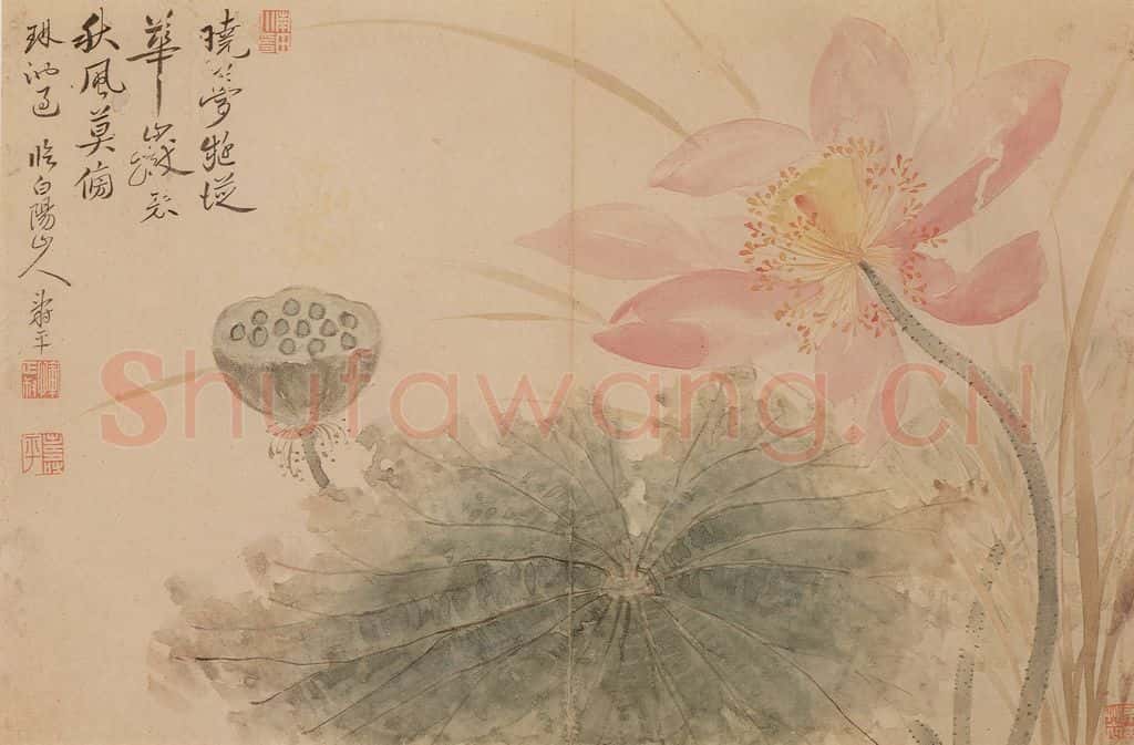 清 恽寿平《花卉》书画作品