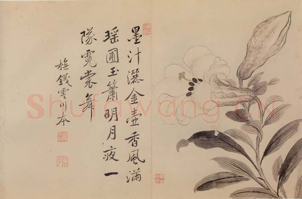 清 恽寿平《花卉》书画作品