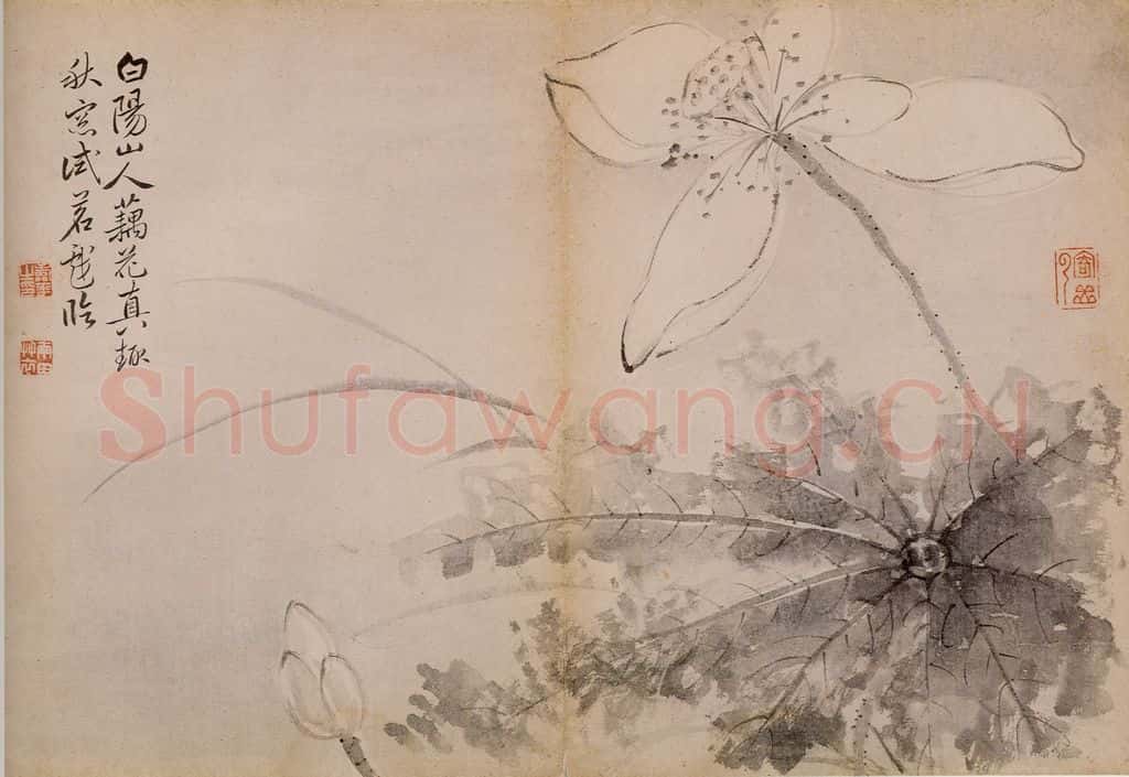 清 恽寿平《墨花》书画作品