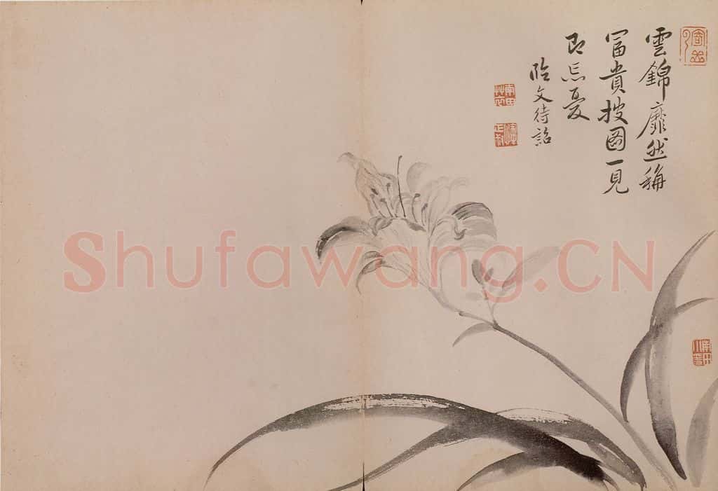 清 恽寿平《墨花》书画作品