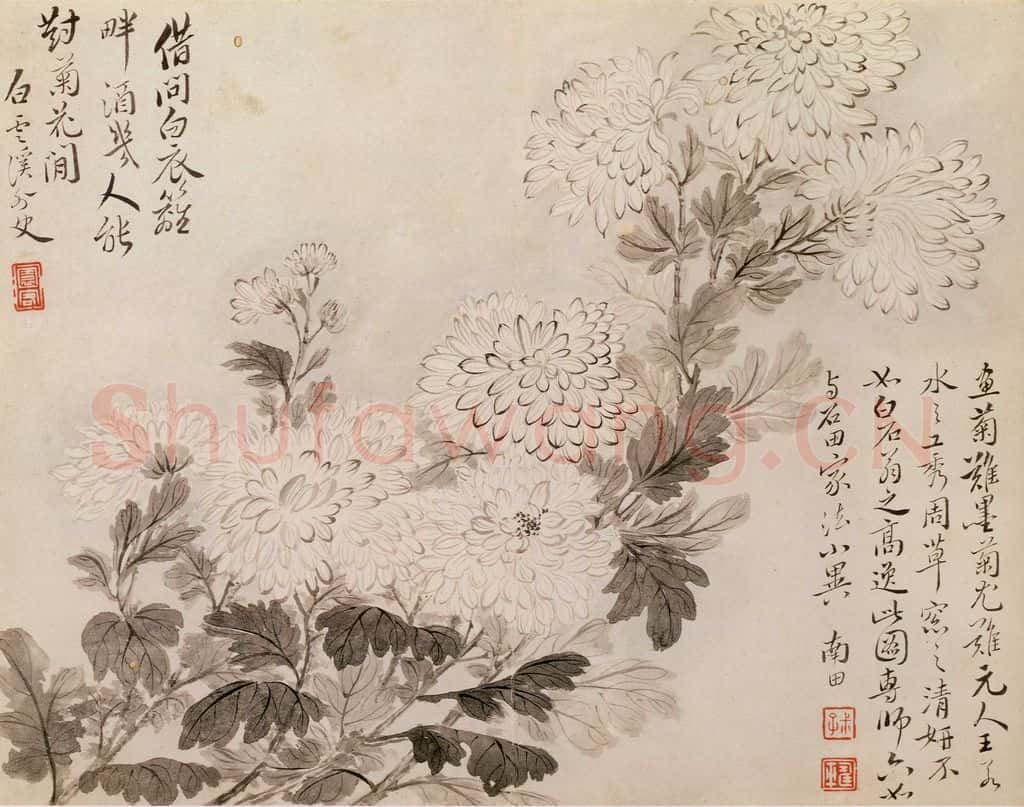 清 恽寿平《写生花卉》书画作品