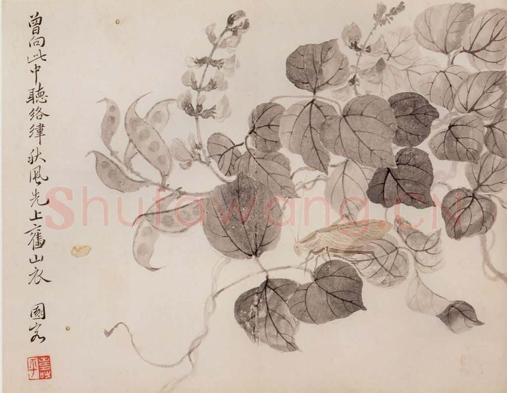 清 恽寿平《写生花卉》书画作品