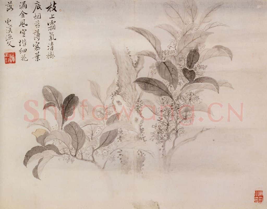 清 恽寿平《写生花卉》书画作品