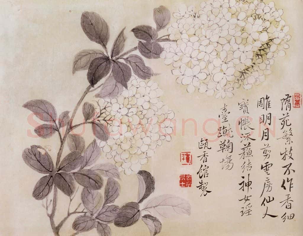 清 恽寿平《写生花卉》书画作品