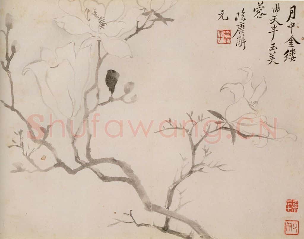 清 恽寿平《写生花卉》书画作品