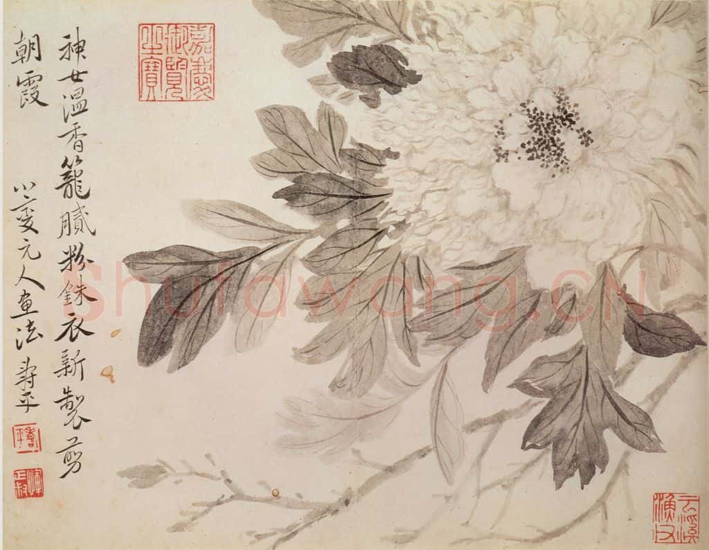 清 恽寿平《写生花卉》书画作品