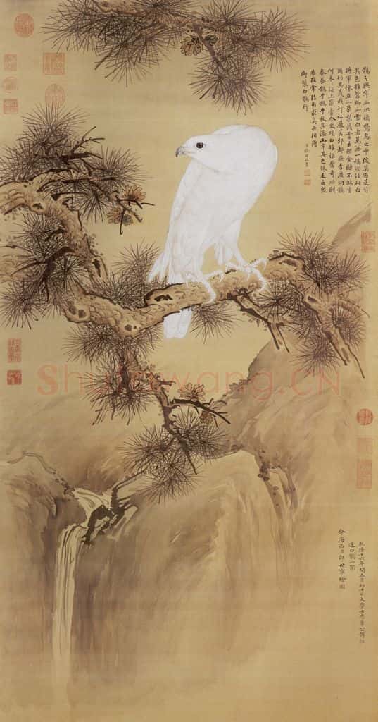 清 郎世宁《白鹘图》书画作品