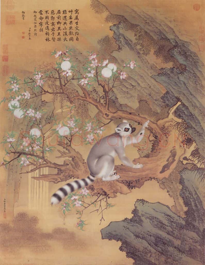 清 郎世宁《画交趾果然》书画作品