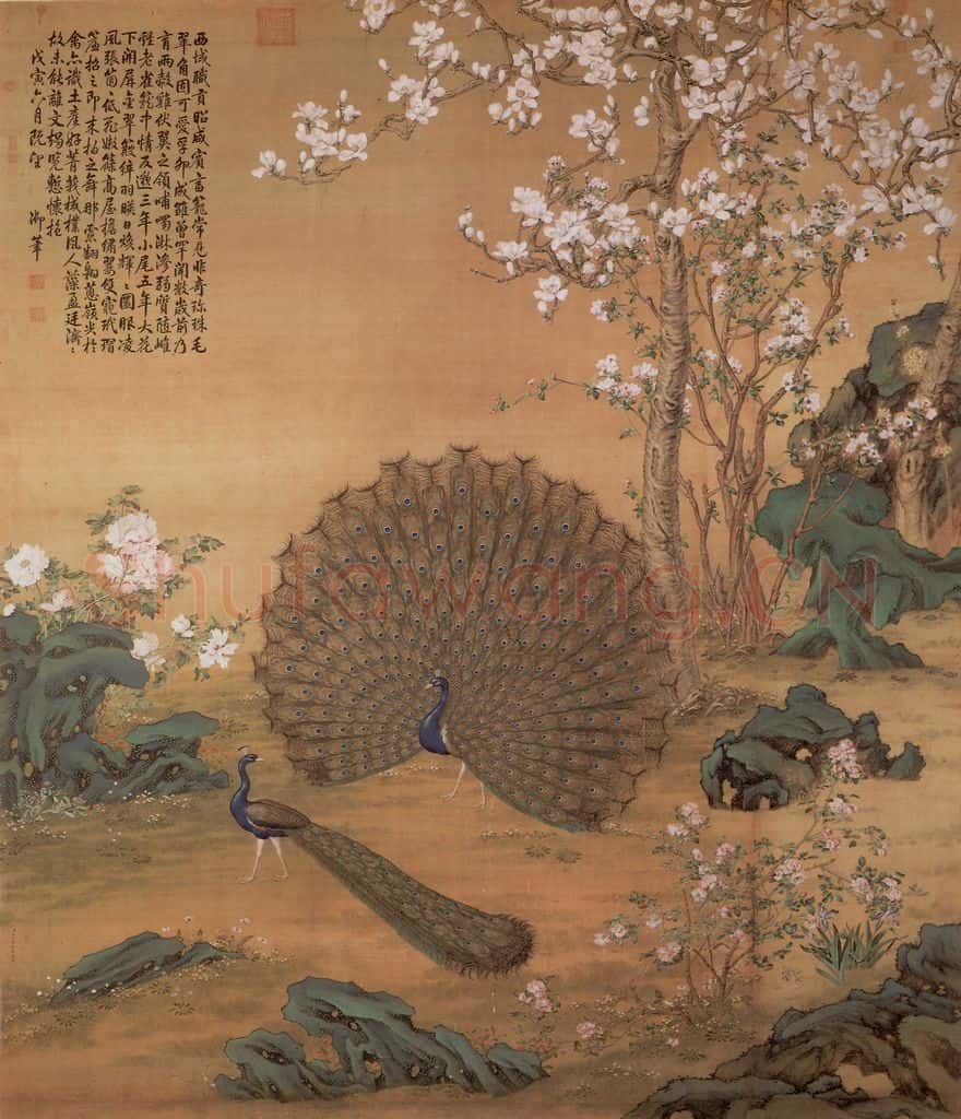 清 郎世宁《画孔雀开屏》书画作品