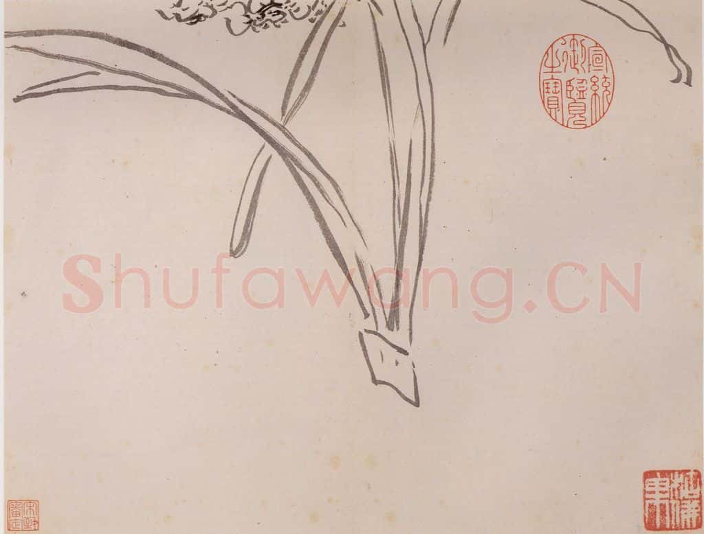 清 传綮《写生》书画作品