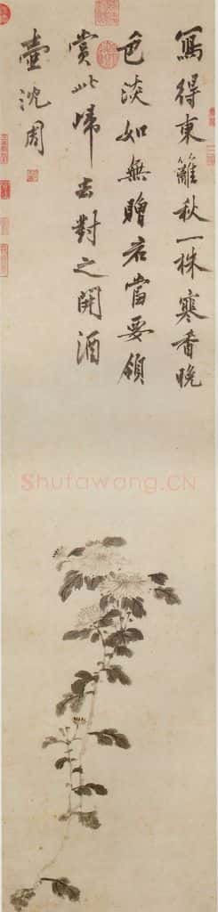 明 沈周《墨菊》书画作品