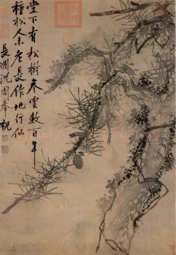 明 沈周《古松图》书画作品