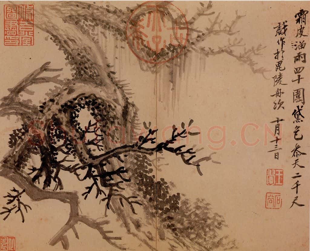 清 王翚《古柏》书画作品