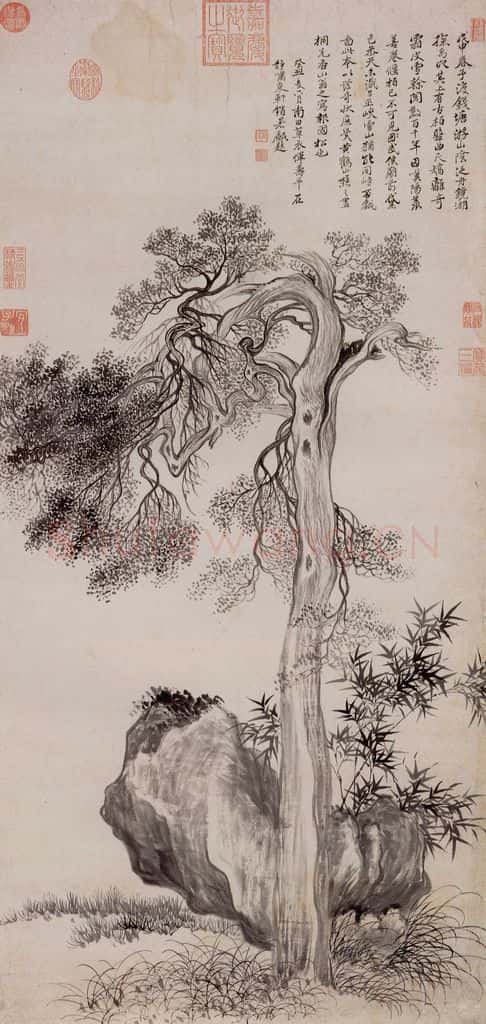 清朝 恽寿平 画禹穴古柏 书画作品