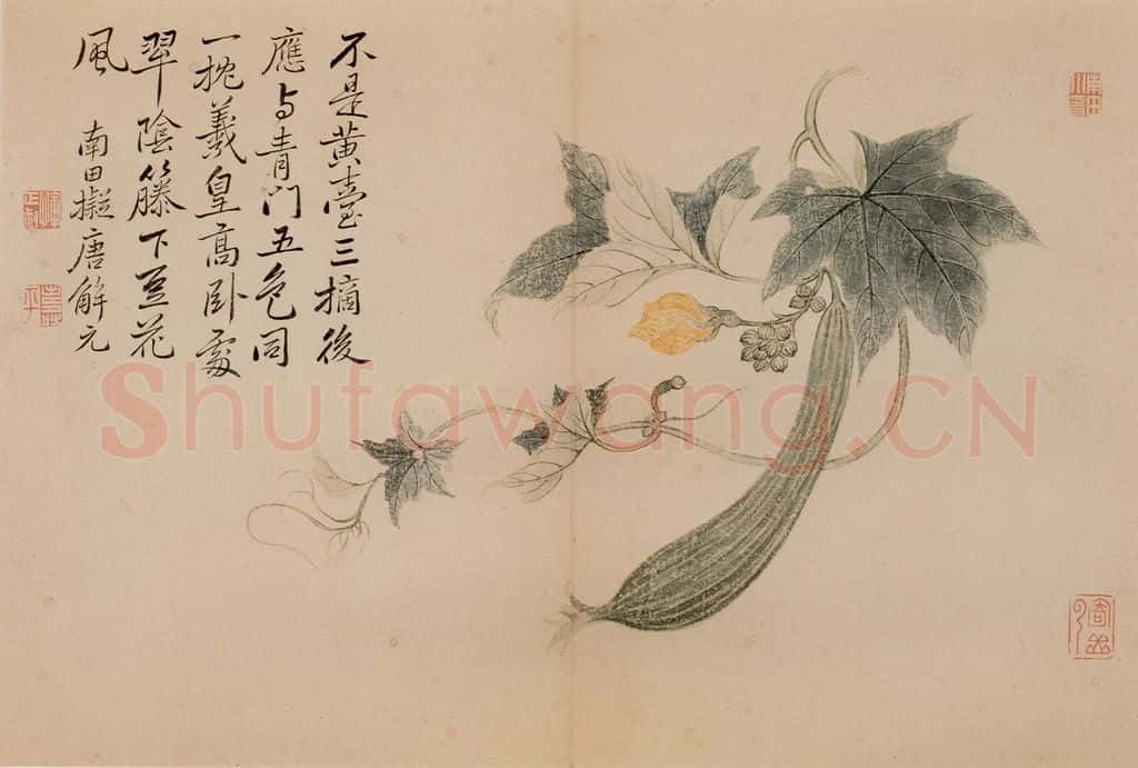 清朝 恽寿平 写生 书画作品