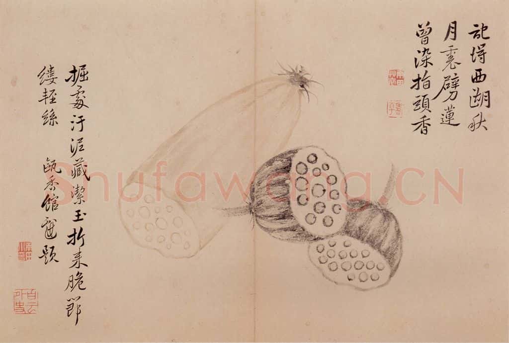 清朝 恽寿平 写生 书画作品