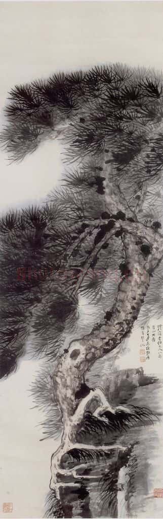 张大千 古松图 书画作品