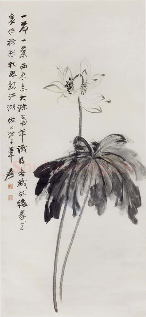 张大千 荷花图 书画作品