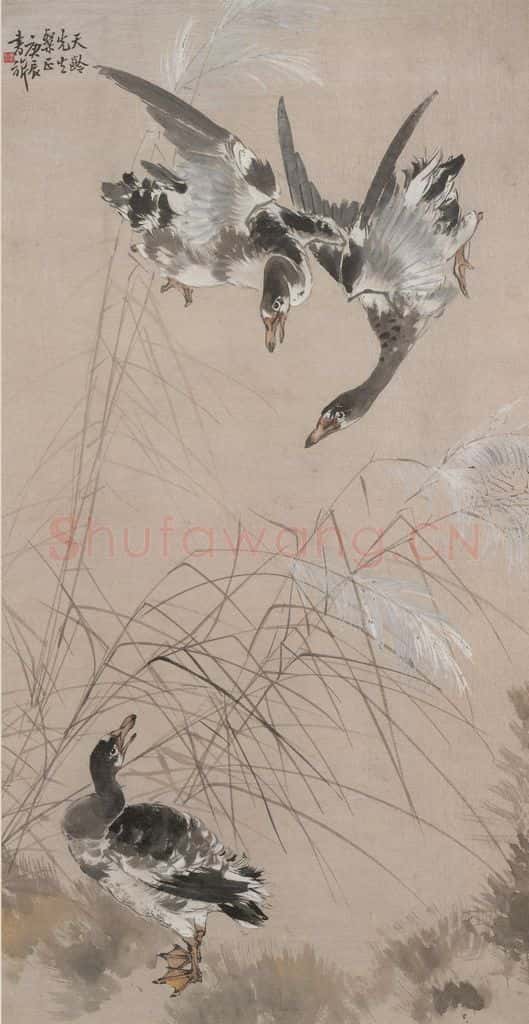  张书旗《芦雁图》书画作品