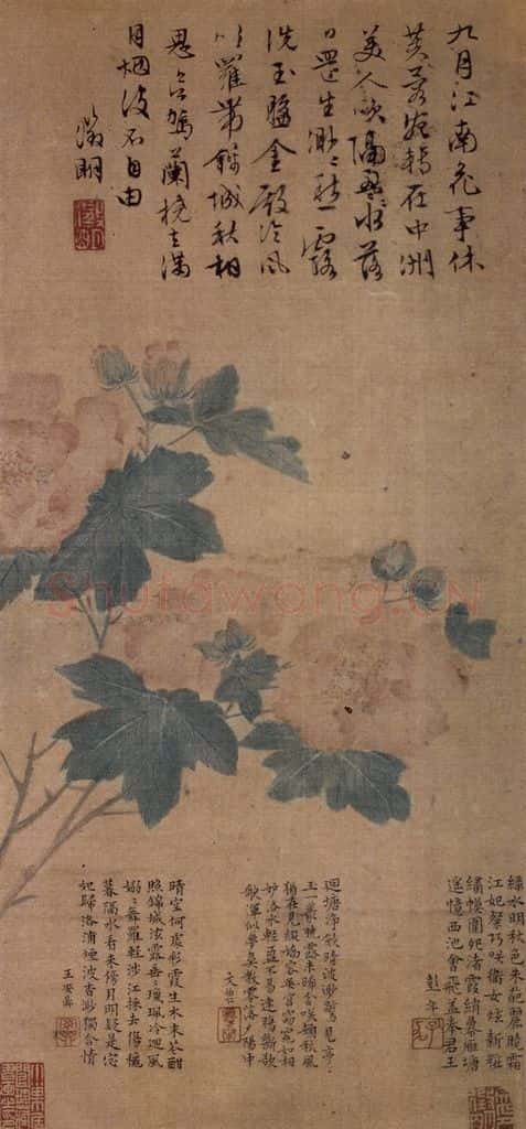 明 文徵明《芙蓉图轴》书画作品