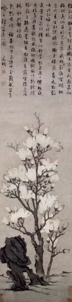 明 文徵明《玉兰图轴》书画作品