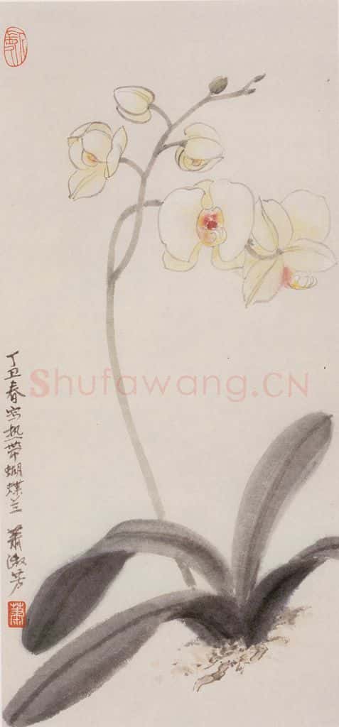 1997年 萧淑芳 蝴蝶兰 书画作品
