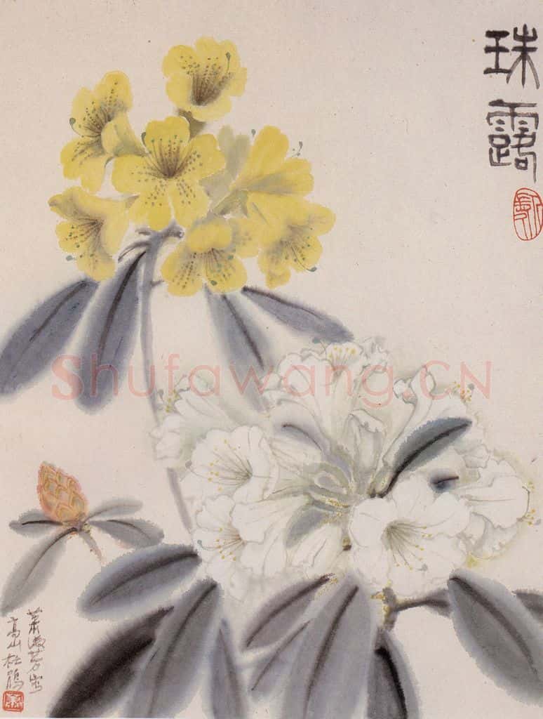 80年代 萧淑芳 珠露 书画作品