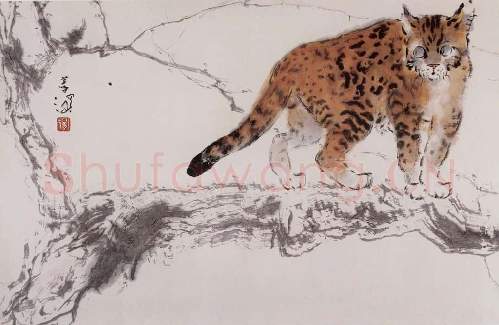 杨善深《豹猫》书画作品