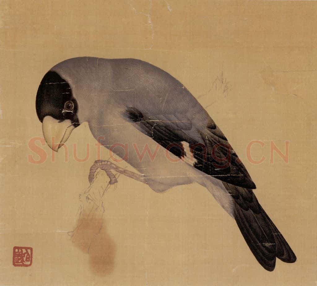 1948年 马晋《花卉翎毛写生》书画作品