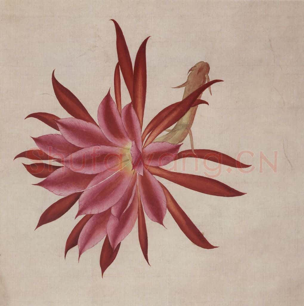 1948年 马晋《花卉翎毛写生》书画作品
