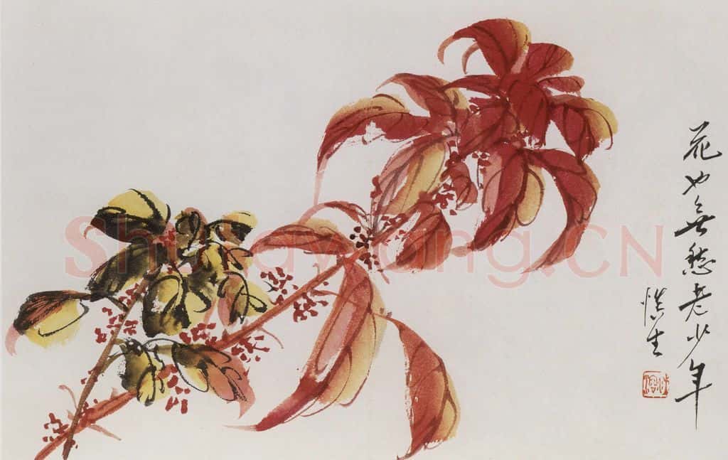 1957年 汪慎生《花鸟册页》书画作品
